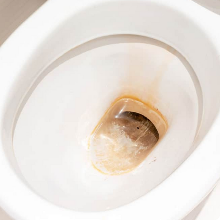 Before Flush Care